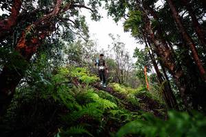 BIB: 
                            <button type="button" onclick="openModal(26204206)" class="btn btn-primary btn-sm float-right btn-popup" data-toggle="modal" data-target=".modal-high-quality">
                        <i class="fas fa-shopping-cart"></i> Add to Cart
                    </button>
                                            <button type="button" onclick="isThisMe(26204206, true)" class="btn btn-success btn-sm float-right btn-popup btn-isme hidden" data-toggle="tooltip" data-placement="bottom" title="นี่คือรูปของคุณใช่ไหม คลิกที่นี่เพื่อเอาเข้าอัลบั้ม">
                        <i class="fas fa-plus"></i> Add to album
                    </button>
                    <button type="button" onclick="isThisMe(26204206, false)" class="btn btn-warning btn-sm float-right btn-popup btn-isnotme hidden">
                        <i class="fas fa-ban"></i> Remove from album
                    </button>